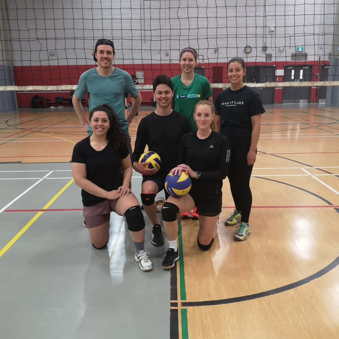 Montreal sport ligue équipe amateur de volleyball 6